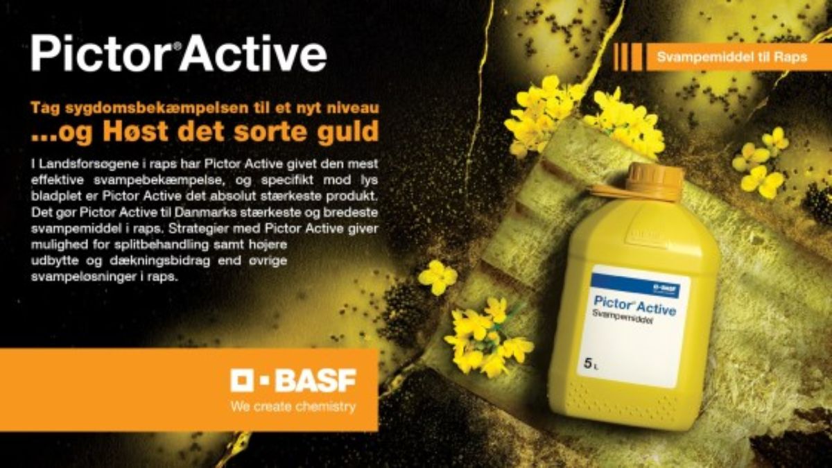 Pictor-Active-DK