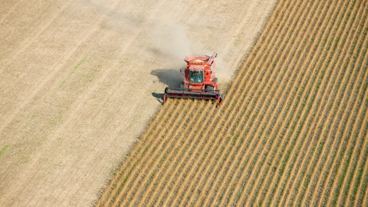 soy-harvest_1200x675_webp.webp