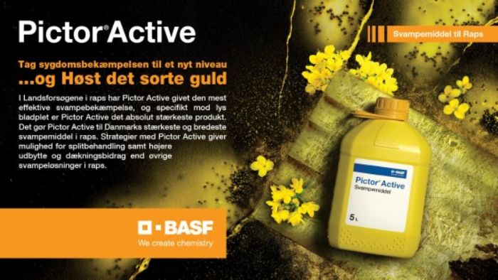 Pictor-Active-DK