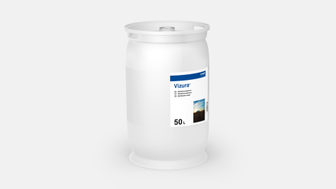 Vizura_P