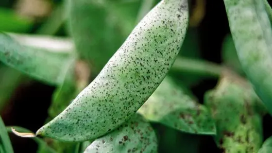 Anders-Christensen-1902x1080_560x560