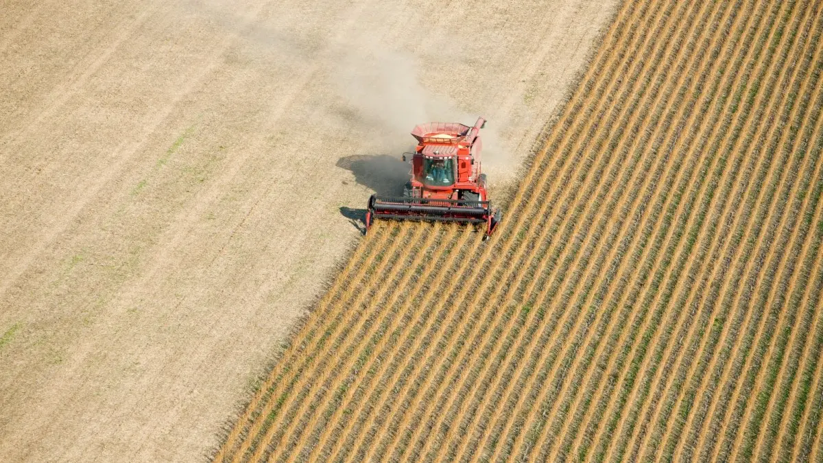 soy-harvest_1200x675_webp.webp