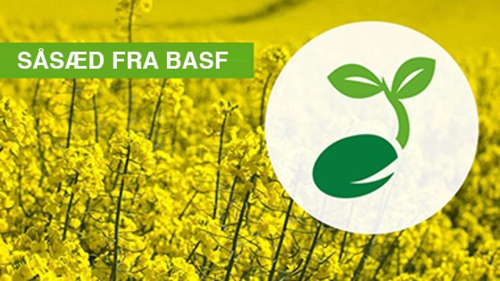 DK-NyefraBASF-teaser