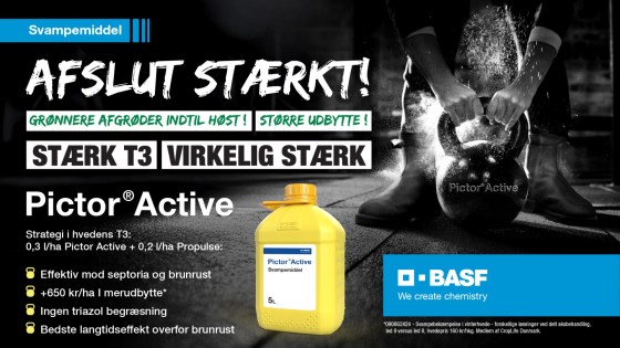 Pictor-Active-DK-2025-Banners_1920x1080px_Social-Media_560x315