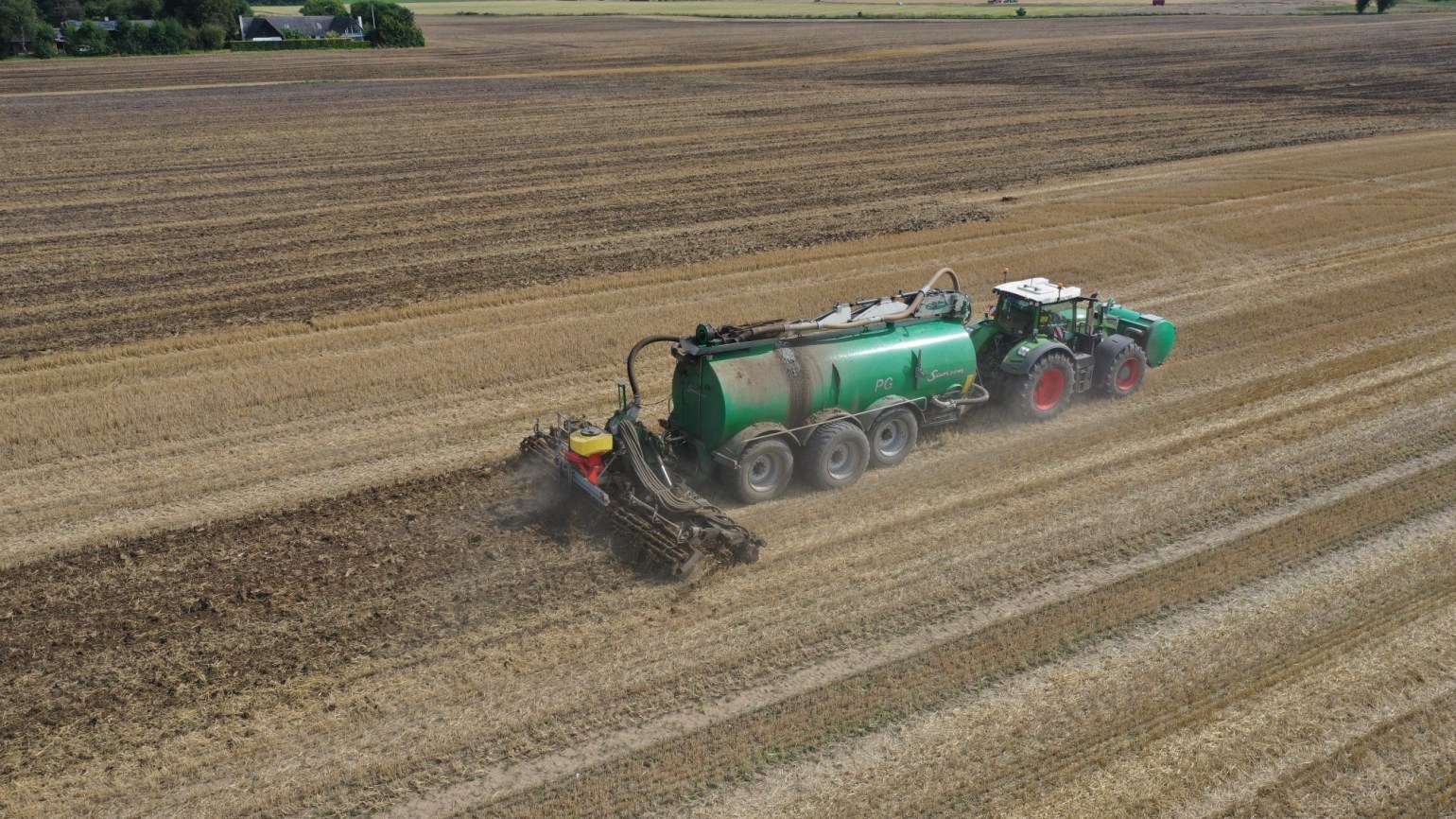 634913893_195619128_1540x866_DK