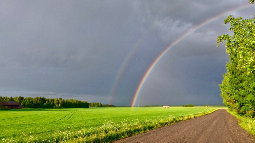 FaF23_Henning_portrait